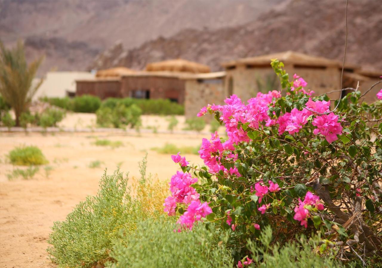 Safari Beach Nuweiba` Εξωτερικό φωτογραφία
